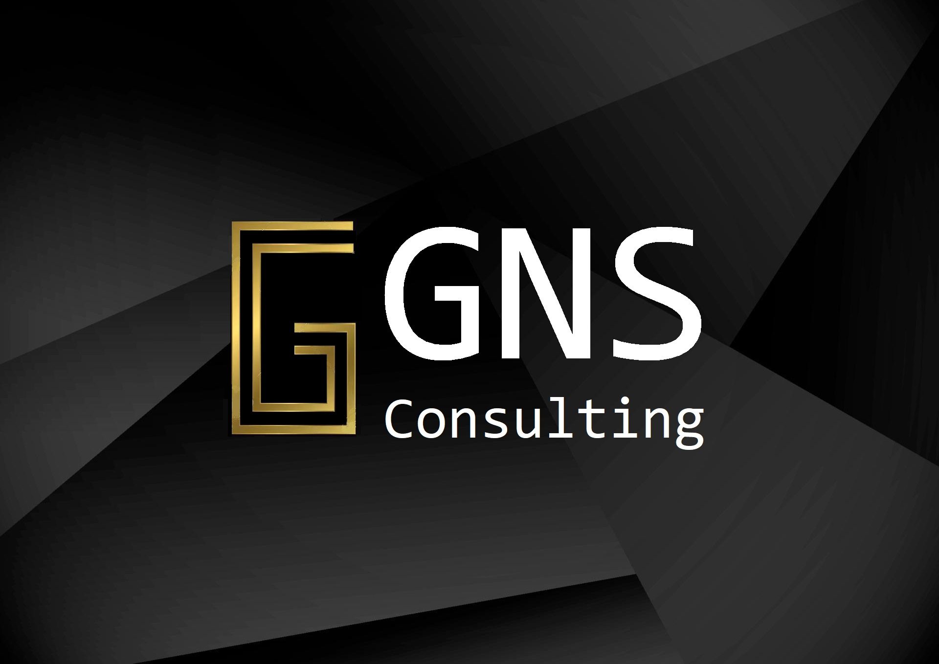 GNS Consulting